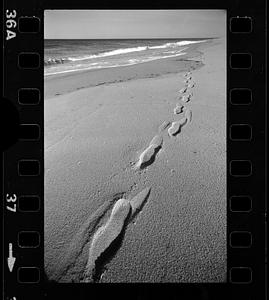 Footprints in sand, Cape Cod