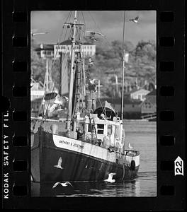Fishing boat arrives in harbor, Gloucester
