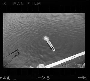 Kids dive into Dorchester Bay on summer afternoon, Dorchester