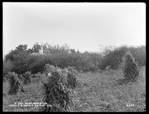 Wachusett Reservoir, Amos F. and John F. Knight's buildings, on the westerly side of Maple Street, from the north, West Boylston, Mass., Oct. 13, 1898