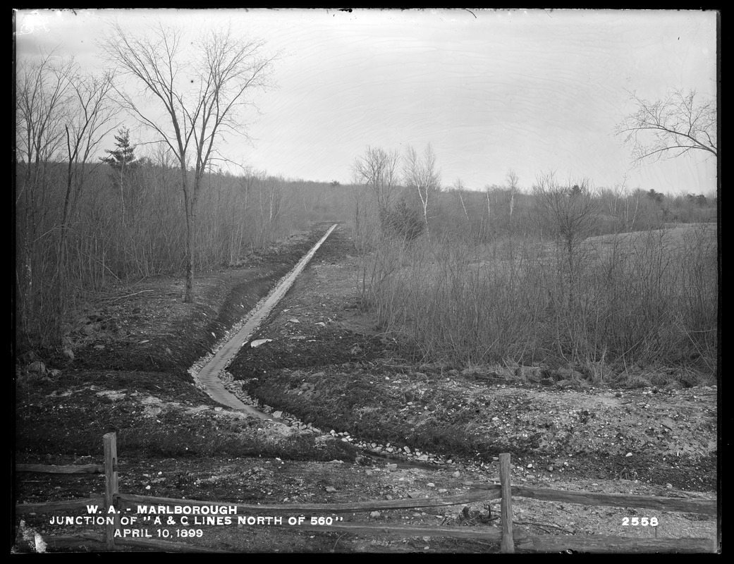 Wachusett Aqueduct, Crane Swamp, drainage ditch, junction of A and C Lines north of 560, Marlborough, Mass., Apr. 10, 1899