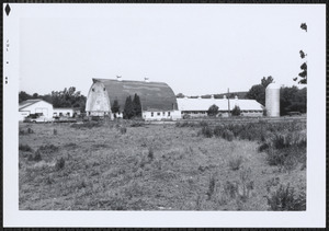 Tobe's Farm, Washington St., Canton