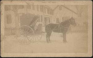 Horse and buggy in front of house