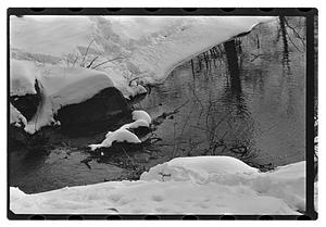 Snow pictures - Fenway