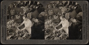 Sorting wool after cleaning and washing, Lawrence, Mass.