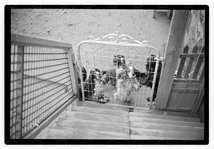 Idahurst Kennels
