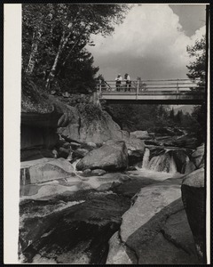 Ammonoosuc River, N.H.