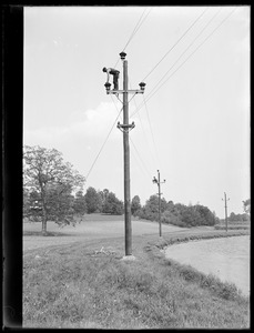 Wachusett Department, Wachusett-Sudbury power transmission line, tying conductors at angle pole, regular 40-foot pole No. 330, Southborough, Mass., May 28, 1918