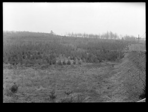 Wachusett Department, Wachusett Reservoir, Berlin Road, looking south, Boylston, Mass., Apr. 17, 1918