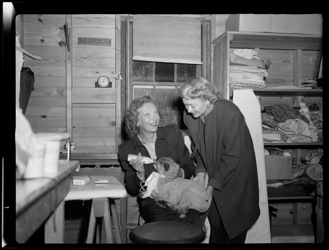 Helen Hayes and Gertrude Lawrence with lamb at Cape Playhouse, July 1947