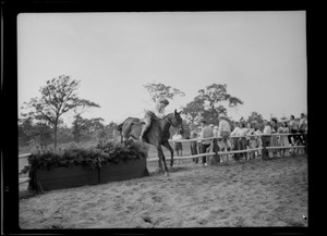 Horseback riders, Oyster Harbors