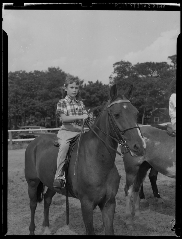 Horseback riders, Oyster Harbors