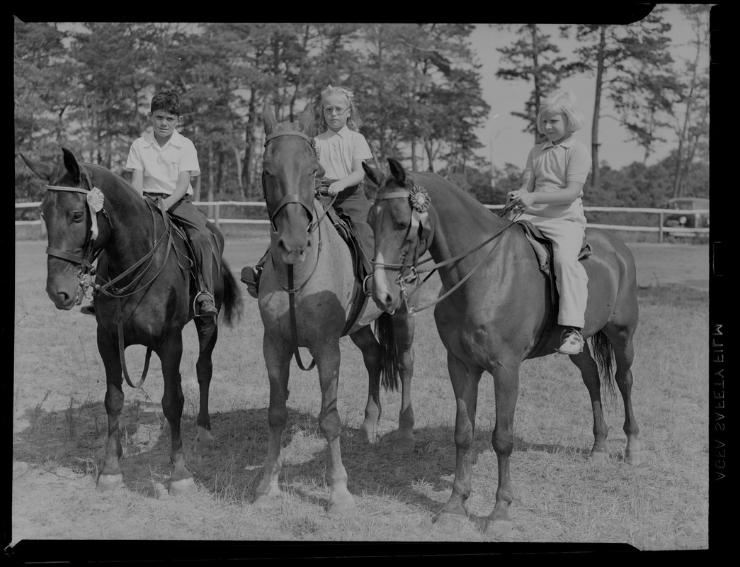 Horseback riders, Oyster Harbors