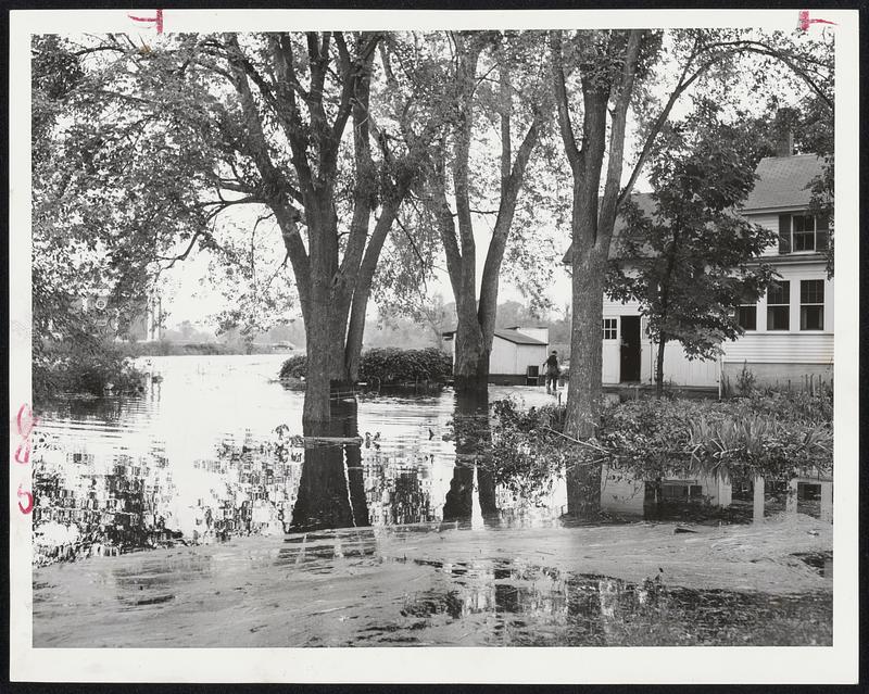 River Stay Way From My Door-The Sudbury River laps close to the doors of houses on Pelham Island Rd. at Wayland Sq. The water rose after the heavy rains of Hurricane Edna.