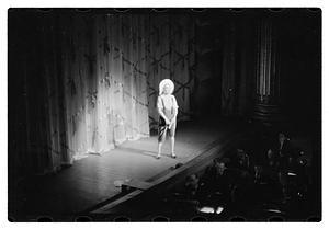 Follies