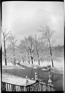 Maude & John Public Garden snow pictures