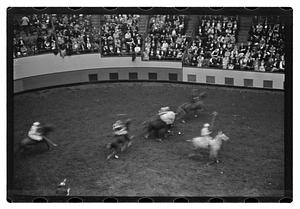 Gen. Needham polo