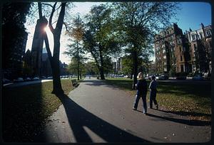 Long shadows on summer afternoon, lower Commonwealth Ave., Back Bay