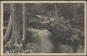 Devil's Brook, Sharon, Mass.