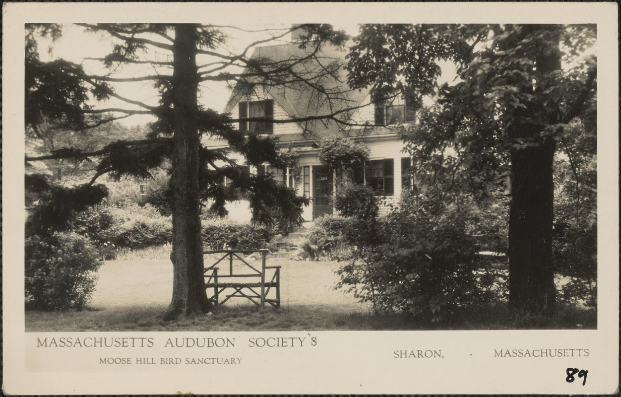 Massachusetts Audubon Society's Moose Hill Bird Sanctuary, Sharon
