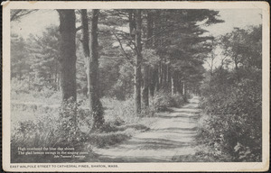 East Walpole Street to Cathedral Pines, Sharon, Mass.