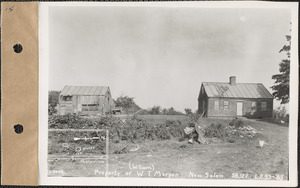 William T. Morgan, house and barn, New Salem, Mass., Sep. 6, 1927