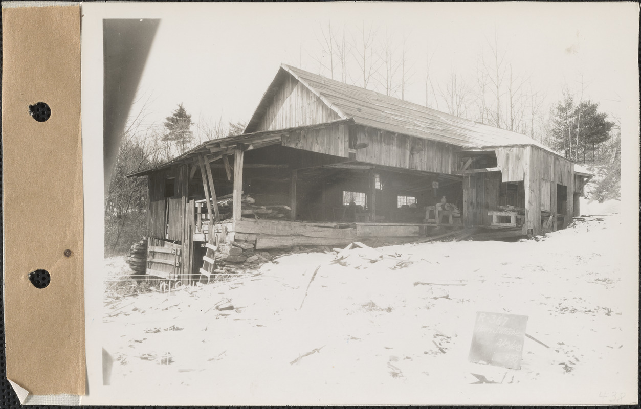 Harry J. Whipple, sawmill, Pelham, Mass., Mar. 8, 1928