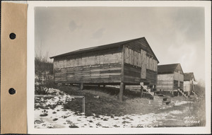 Holyoke YWCA, camps, Greenwich, Mass., Feb. 24, 1928