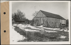 Elbridge D. Packard, barn and shed, Enfield, Mass., Mar. 13, 1928