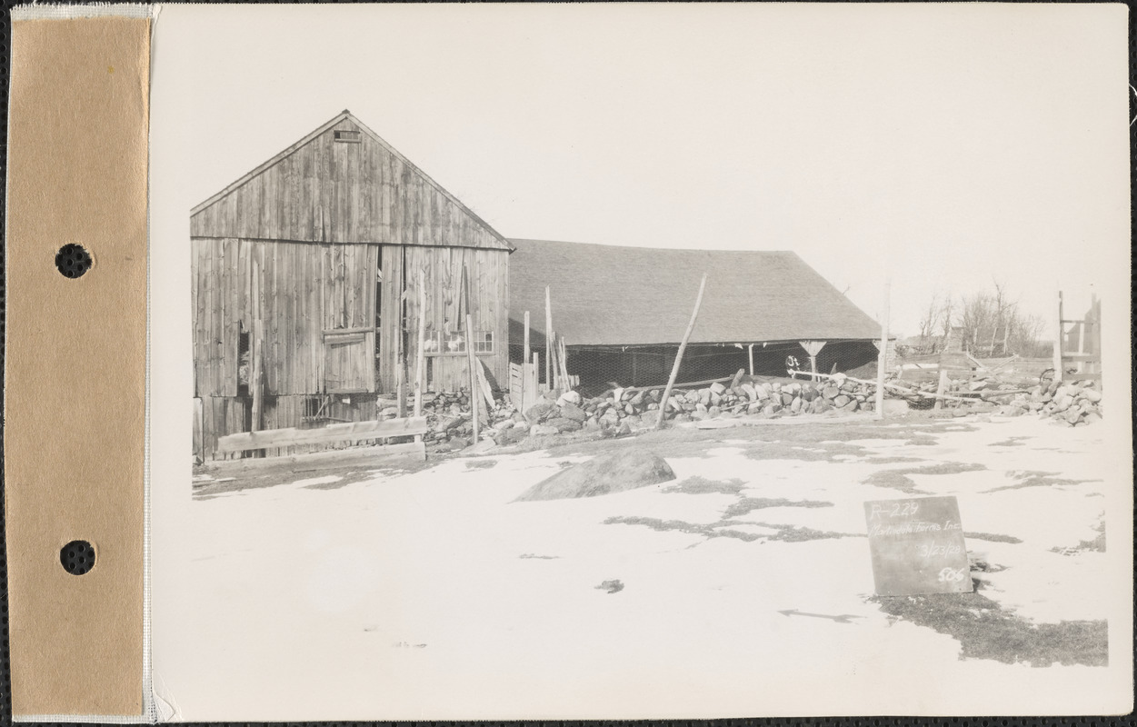 Martindale Farms, Inc., barn, Enfield, Mass., Mar. 23, 1928 Digital