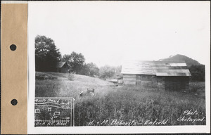 Joseph and M. Babovitz, house, barn, Enfield, Mass., July 12, 1928