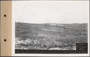 View from Lucien Lillie land, looking north, Prescott, Mass., Feb. 13, 1929