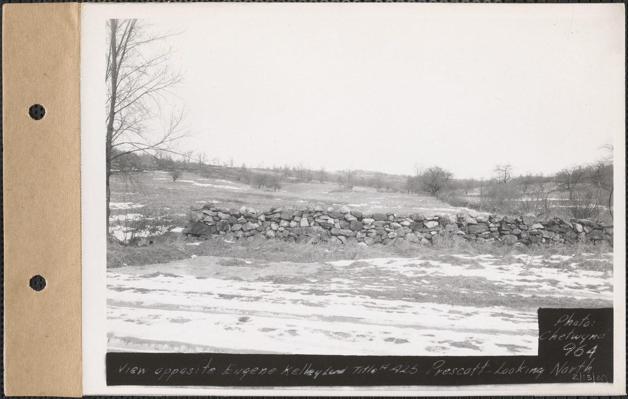 View opposite Eugene Kelley land, looking north, Prescott, Mass., Feb. 13, 1929