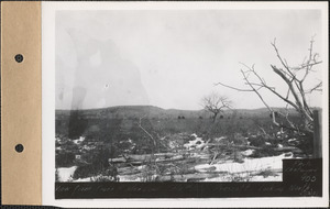 View from Frank R. Allen land, looking north, Prescott, Mass., Feb. 13, 1929