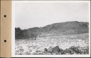 View opposite Austin B. Gross land, looking north, Prescott, Mass., Feb. 13, 1929