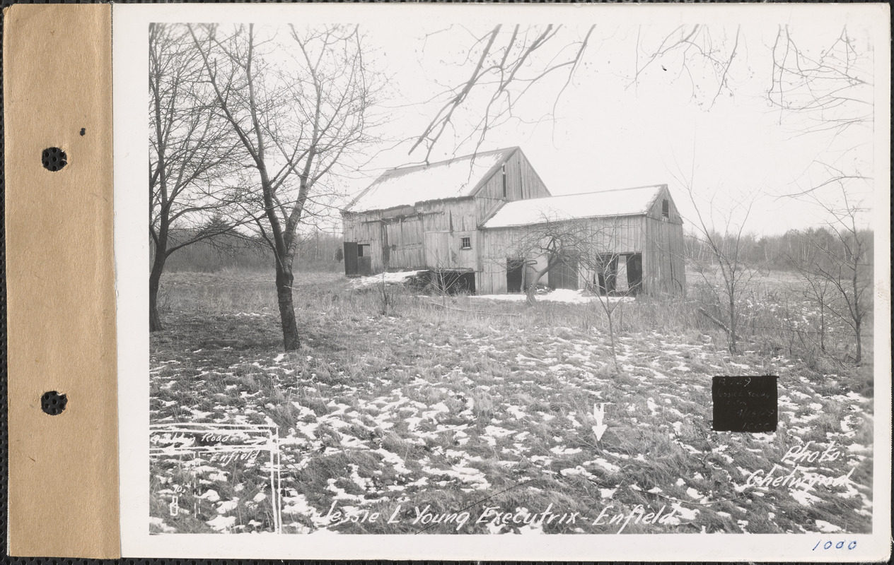 Jessie L. Young Executrix, Barn, Enfield, Mass., Apr. 15, 1929 ...