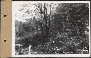 Andrew Johnson, house (old place), Prescott, Mass., May 27, 1929