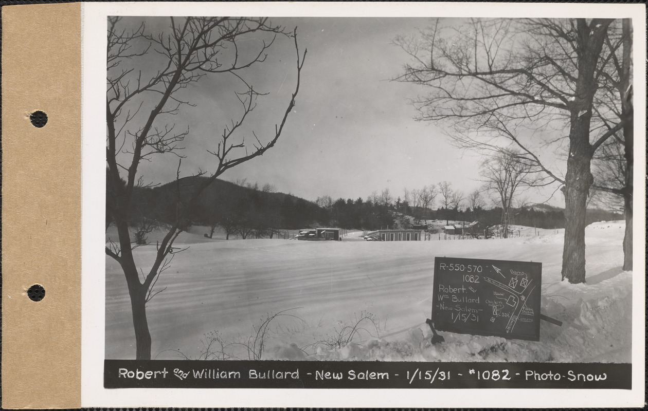 Robert and William Bullard, chicken houses, New Salem, Mass., Jan. 15, 1931