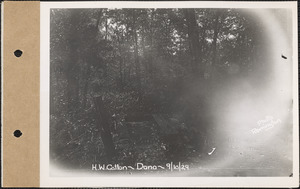 H. W. Cotton (on A. Johnson line), spring, Dana, Mass., Sep. 10, 1929