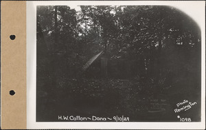 H. W. Cotton (on A. Johnson line), spring, Dana, Mass., Sep. 10, 1929