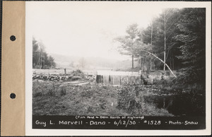Guy L. Marvell, fishpond and dam north of highway, Dana, Mass., June 12, 1930