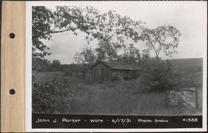 John J. Parker, chicken house, Ware, Mass., June 17, 1931
