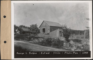 George L. Baldus, barn and chicken house, Enfield, Mass., July 13, 1931