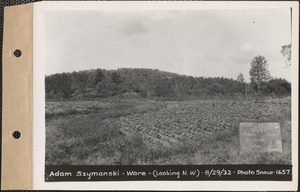 Adam Szymanski, garden (looking northwest), Ware, Mass., Aug. 29, 1932