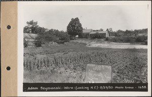 Adam Szymanski, garden (looking northeast), Ware, Mass., Aug. 29, 1932