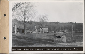 Dominick Cembruch, sheds, Belchertown, Mass., Nov. 28, 1932
