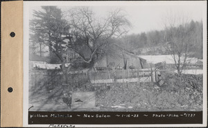 William Mokrynka, barn and sheds, New Salem, Mass., Jan. 16, 1933