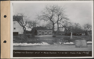 Catherine Connor et al., shed and chicken houses, New Salem, Mass., Jan. 17, 1933