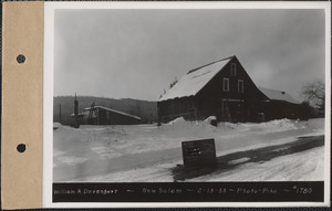 William A. Davenport, barn and chicken house, New Salem, Mass., Feb. 13, 1933