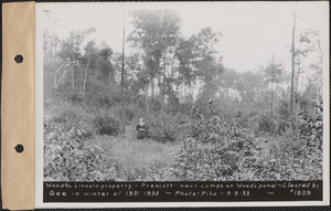 Wood and Lincoln, near camps on Wood's pond, cleared by Gee in winter of 1931-1932, Prescott, Mass., Sep. 8, 1933